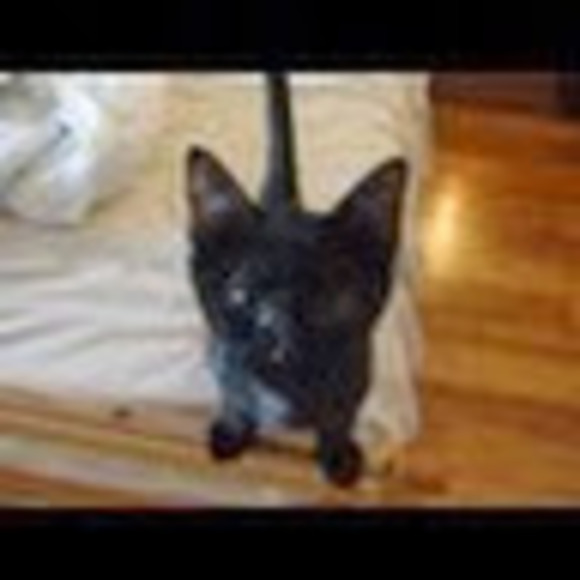 Meet your Posher, Christina - Picture 1 of 1